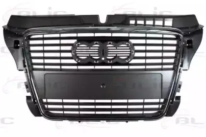 6502-07-0026997Q BLIC Решетка радиатора