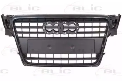 6502-07-0029990Q BLIC Решетка радиатора