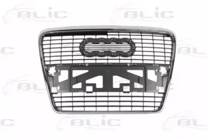 6502-07-0031990P BLIC Решетка радиатора