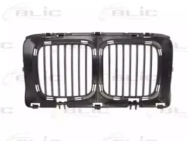 6502-07-0057990P BLIC Решетка радиатора