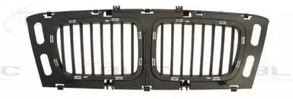 6502-07-0057999P BLIC Решетка радиатора