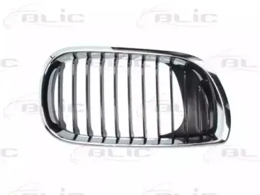 6502-07-0061992AP BLIC Решетка радиатора