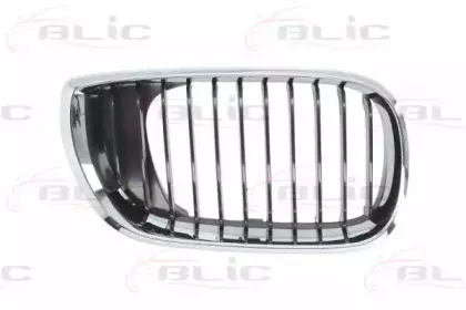 6502-07-0061992AQ BLIC Решетка радиатора