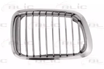 6502-07-0061992Q BLIC Решетка радиатора