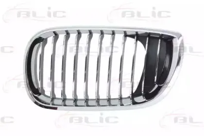 6502-07-0061993AQ BLIC Решетка радиатора