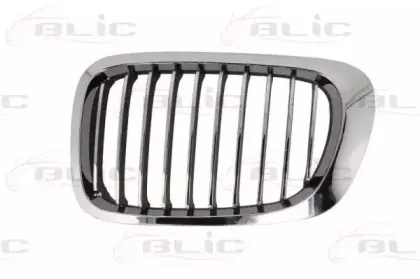 6502-07-0061996LP BLIC Решетка радиатора