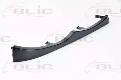 6502-07-0061996P BLIC Рама фары