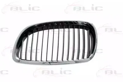 6502-07-00629911Q BLIC Решетка радиатора