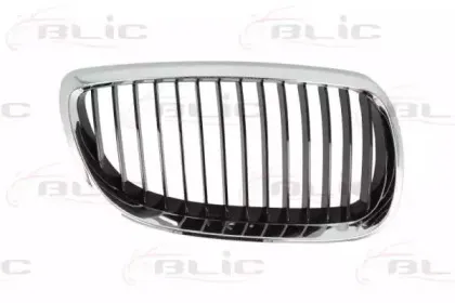 6502-07-00629912Q BLIC Решетка радиатора