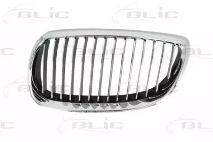 6502-07-00629915Q BLIC Решетка радиатора
