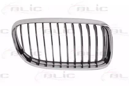 6502-07-0062992AP BLIC Решетка радиатора