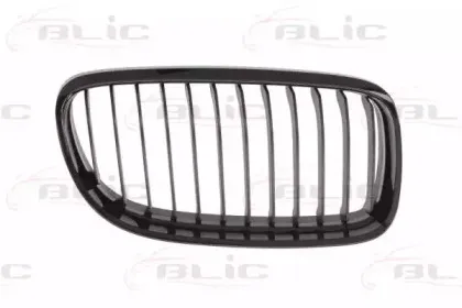 6502-07-0062992BQ BLIC Решетка радиатора