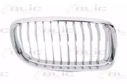 6502-07-0062994PP BLIC Решетка радиатора