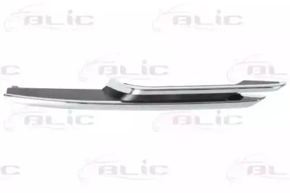 65020700639913P BLIC Облицовка / защитная накладка, буфер