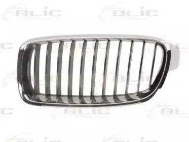 6502-07-0063991P BLIC Решетка радиатора