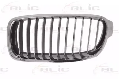 6502-07-0063997Q BLIC Решетка радиатора