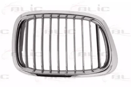 6502-07-00659914P BLIC Решетка радиатора