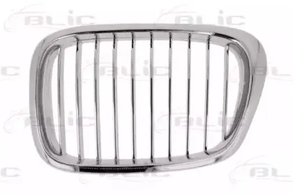 6502-07-00659915P BLIC Решетка радиатора