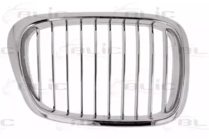 6502-07-00659916P BLIC Решетка радиатора