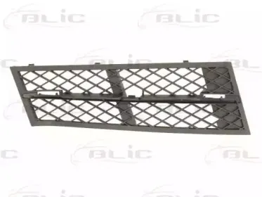 6502-07-0067915P BLIC Решетка вентилятора, буфер