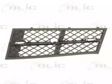 6502-07-0067916P BLIC Решетка вентилятора, буфер