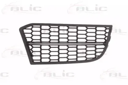 6502-07-0067920P BLIC Решетка вентилятора, буфер