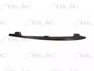 6502-07-0067922P BLIC Облицовка / защитная накладка, буфер