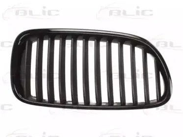 6502-07-0067991P BLIC Решетка радиатора