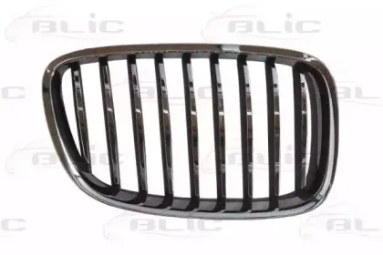 6502-07-00679922P BLIC Решетка радиатора