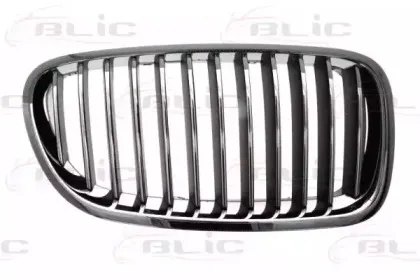 6502-07-0067994Q BLIC Решетка радиатора