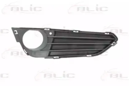 6502-07-0069916P BLIC Решетка вентилятора, буфер