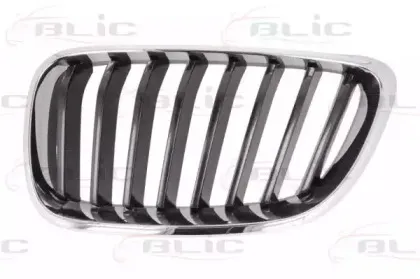 6502-07-0069991P BLIC Решетка радиатора
