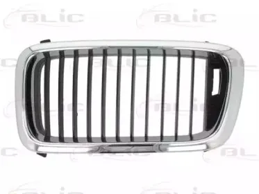 6502-07-0075991P BLIC Решетка радиатора