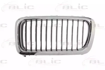6502-07-0075993P BLIC Решетка радиатора
