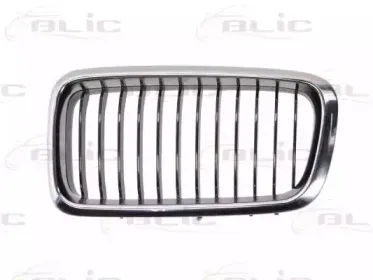 6502-07-0075995P BLIC Решетка радиатора