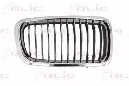 6502-07-0075996PP BLIC Решетка радиатора