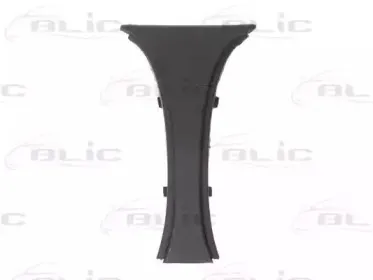 6502-07-0076990P BLIC Облицовка / защитная накладка, облицовка радиатора