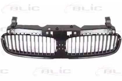 6502-07-0076991P BLIC Решетка радиатора