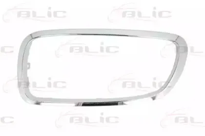 6502-07-0076995P BLIC Облицовка / защитная накладка, облицовка радиатора