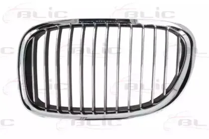 6502-07-0077991P BLIC Решетка радиатора