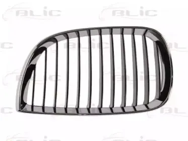 6502-07-0085993P BLIC Решетка радиатора