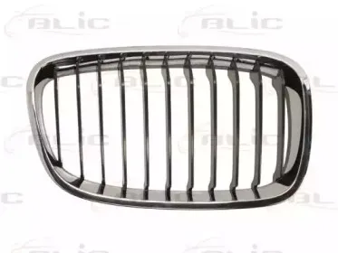 6502-07-0086992P BLIC Решетка радиатора