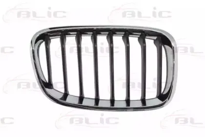 6502-07-0086996P BLIC Решетка радиатора