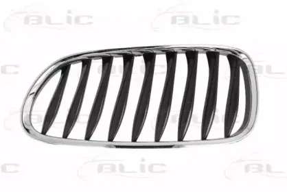 6502-07-0089991P BLIC Решетка радиатора