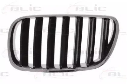 6502-07-00939910P BLIC Решетка радиатора