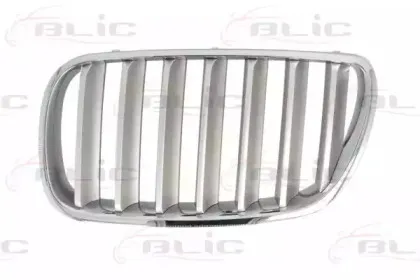 6502-07-00939930P BLIC Решетка радиатора