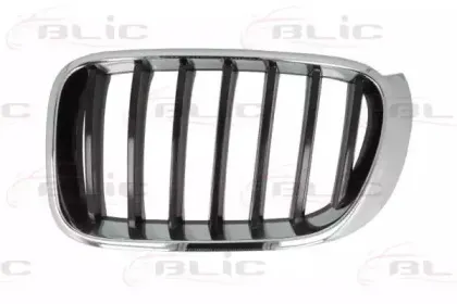 6502-07-00939933P BLIC Решетка радиатора