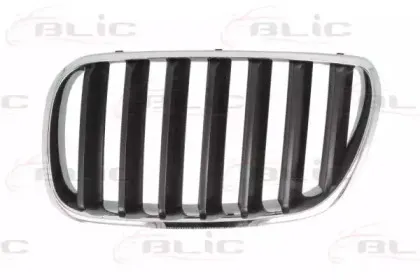 6502-07-00939950P BLIC Решетка радиатора