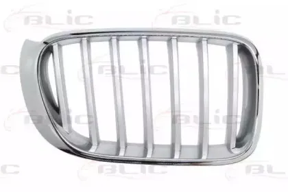 6502-07-00939966P BLIC Решетка радиатора