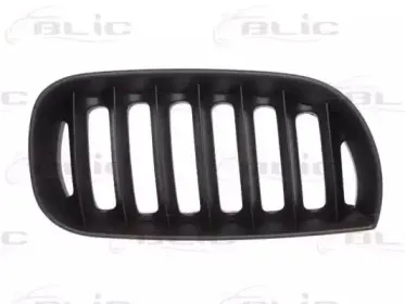 6502-07-0093996P BLIC Решетка радиатора